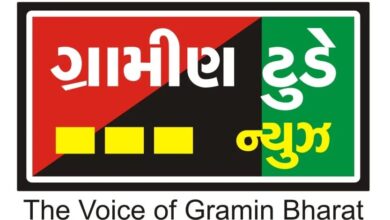 Photo of સાપુતારા ચેકપોસ્ટ પરથી વાહન ચેકિંગમાં બીજી વાર એરગન સાથે બે ઝડપાયા