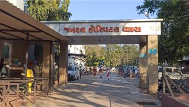 Photo of તાપી જીલ્લાની દરેક સરકારી હોસ્પિટલ આધુનિક અને સુસજ્જ બનાવવા અભિયાન જરુરી: રોમેલ સુતરિયા