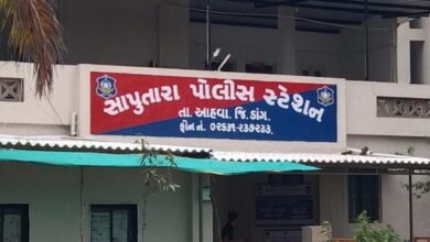 Photo of સાપુતારા લેકવ્યુ હોટલની ફેક વેબસાઈટ બનાવી ૧,૩૪,૮૦૧ રૂપિયાનો પાંચ વ્યક્તિઓ જોડે સાયબર ફ્રોડ થયો