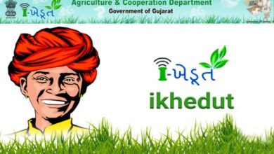 Photo of ડાંગ જિલ્લામાં બાગાયતી ખાતાની યોજનાનો લાભ લેવા આઇ-ખેડૂત પોર્ટલ ૨.૦ ખુલ્લુ મુકાયું: