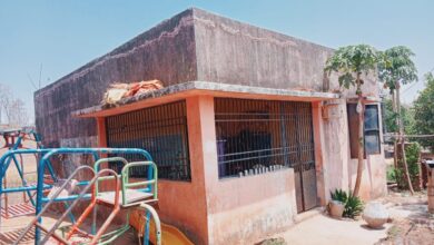 Photo of લો બોલો…ડેડીયાપાડા ના સામારઘાટ ગામે આંગણવાડી કેન્દ્રમાં શૌચાલય જ નથી!!!