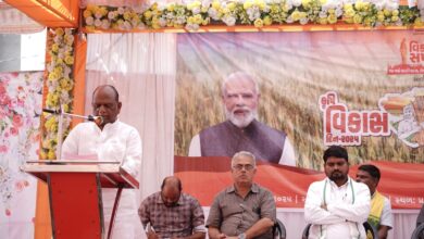 Photo of ચિકદા ખાતે વિકાસ સપ્તાહ–૨૦૨૫ અંતર્ગત ‘કૃષિ વિકાસ દિવસ’ અને ‘રવિ કૃષિ મહોત્સવ’ની ઉજવણી કરાઇ :